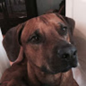 Meet your Posher, Luke